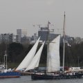 IMG_877464
