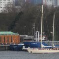 IMG_877475