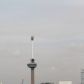 IMG_877481