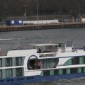 IMG_877486