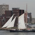 IMG_877488