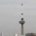 IMG_877493