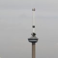 IMG_877495