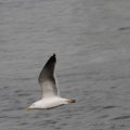 IMG_877498