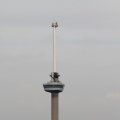 IMG_877503
