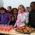 IMG_877853