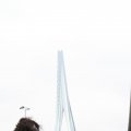 IMG_879142