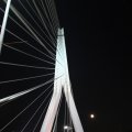 IMG_879346
