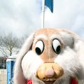 IMG_879526