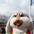 IMG_879527