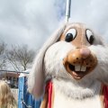 IMG_879528