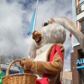 IMG_879529