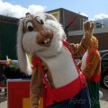 IMG_879543
