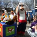IMG_879549