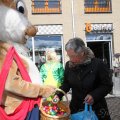 IMG_879556