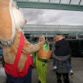 IMG_879566