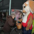 IMG_879576