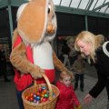IMG_879577