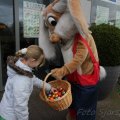 IMG_879602