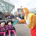 IMG_879646