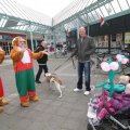 IMG_879650