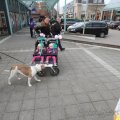 IMG_879652