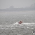 IMG_890541