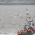 IMG_890663