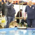 IMG_890822