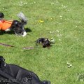 IMG_893220