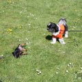 IMG_893221