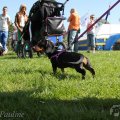 IMG_893231