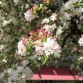 IMG_893446