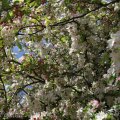 IMG_893447