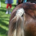 IMG_893470
