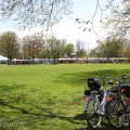 IMG_893480