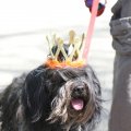 IMG_893486