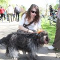 IMG_893488