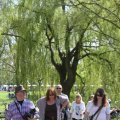 IMG_893493