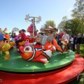 IMG_894050