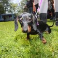 IMG_894088