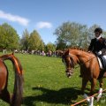 IMG_894151