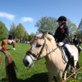 IMG_894154