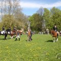 IMG_894158