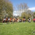 IMG_894164