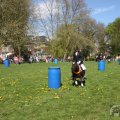IMG_894211