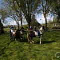 IMG_894231
