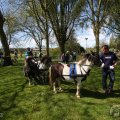 IMG_894232