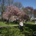 IMG_894471