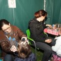 IMG_896750
